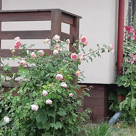 Korsarz Holiday home Rusinowo (Slawno)